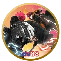 dv88