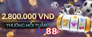 dv88