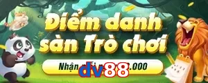 dv88
