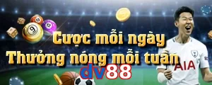 dv88